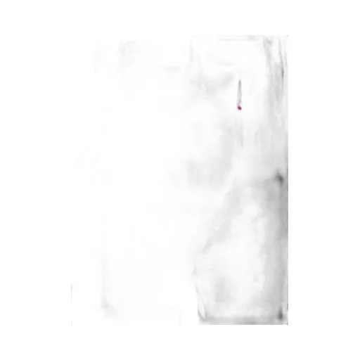 Flared Pants
