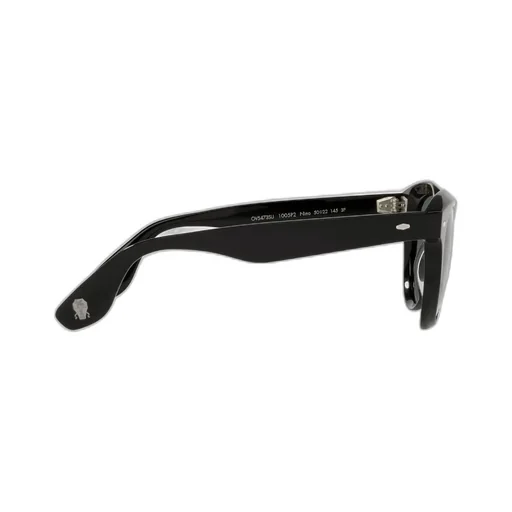 Wayfarer-Frame Sunglasses