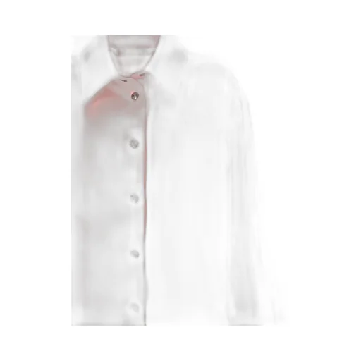 Embroidered Stripe Shirt