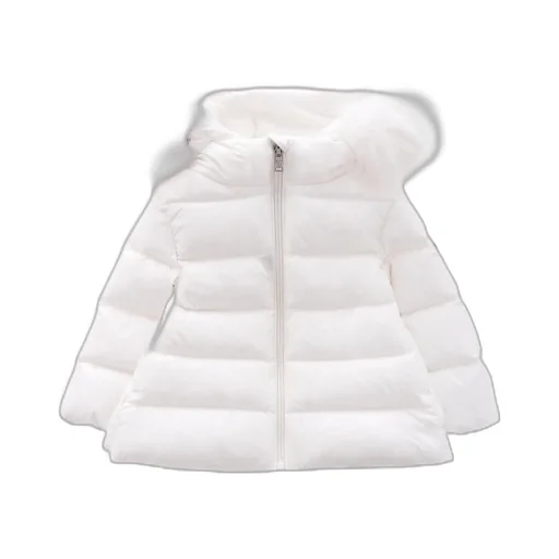 Hooded Down Jacket