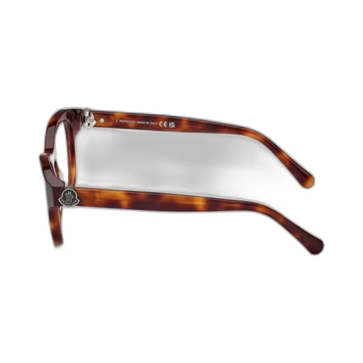 Round Frame Glasses