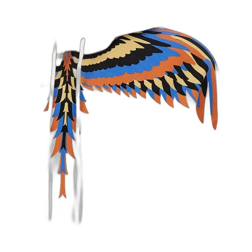 County Of Milan Wings Printed Drawstring Hoodie