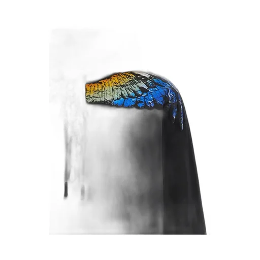 County Of Milan Icon Wings Drawstring Hoodie