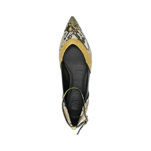 Leather Pointed-Toe Ballerina