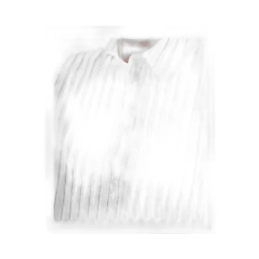 Long-Sleeved Striped Shirt