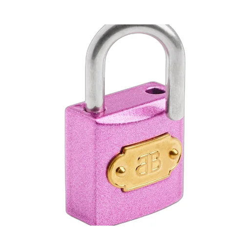 Bb Padlock Charm/Keychain
