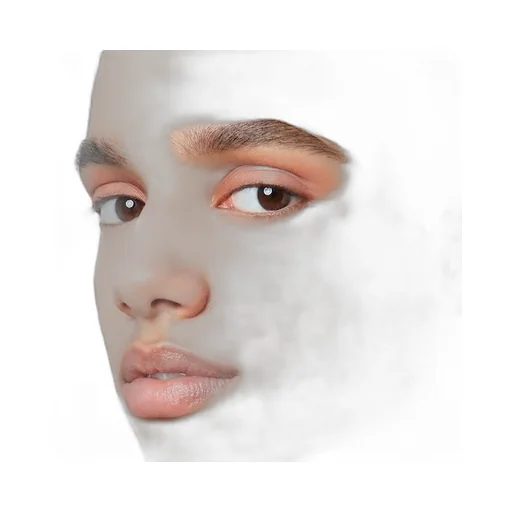 Blush De Beauté