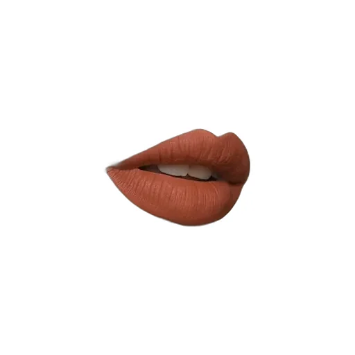 308 Lucy Dark Orange Liquid Matte Lipstick