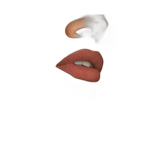 Valeria Rose, Rouge à LÈVres Liquide Mat Lipstick