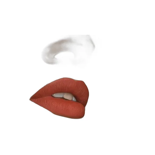 505 Janet Rust Liquid Matte Lipstick