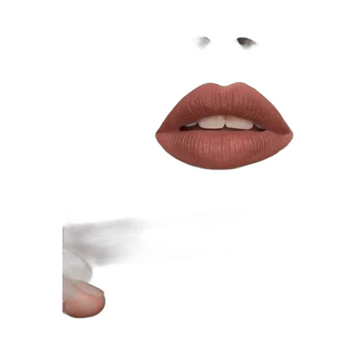 Rouge à LÈVres Liquide Mat Lipstick