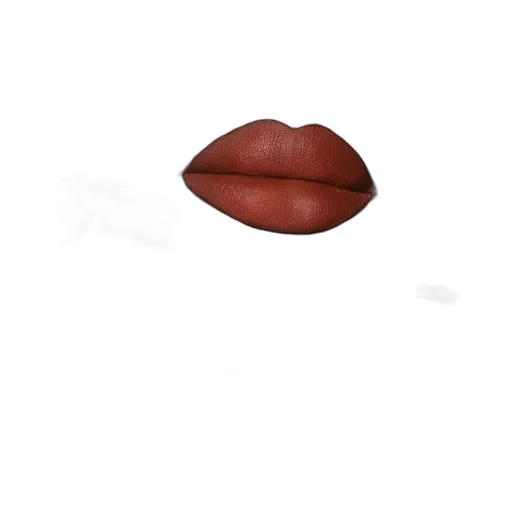 505 Janet Rust Liquid Matte Lipstick