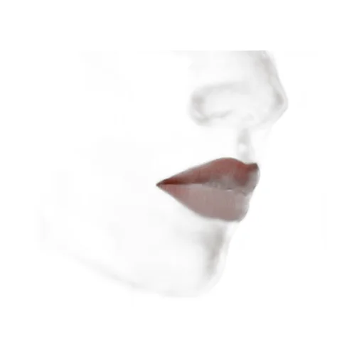 Rouge à LÈVres Liquide Mat Lipstick