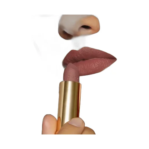 Rouge à LÈVres Mat Lipstick
