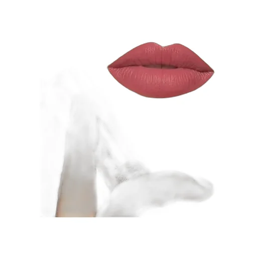 204 Peggy Taupe, Rouge à LÈVres Mat Lipstick