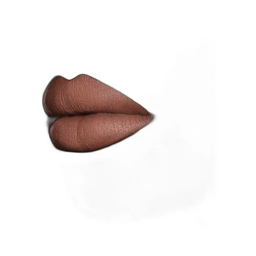 120 Sonia Light Beige Rouge à LÈVres Mat Lipstick