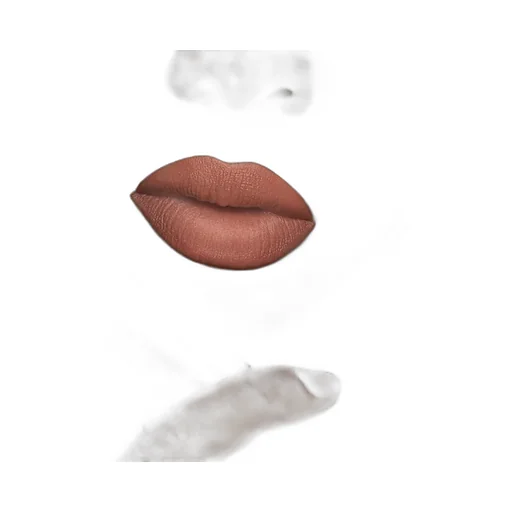 120 Sonia Light Beige Rouge à LÈVres Mat Lipstick