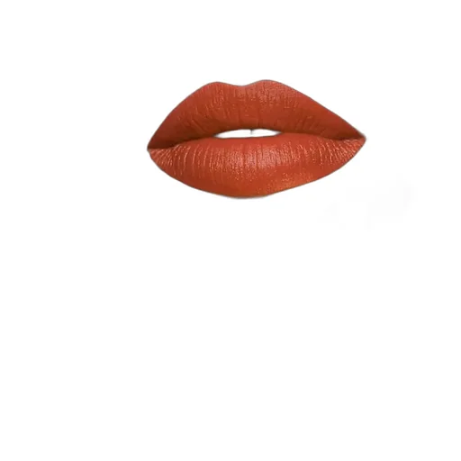 312 Frances Fire Matte Lipstick