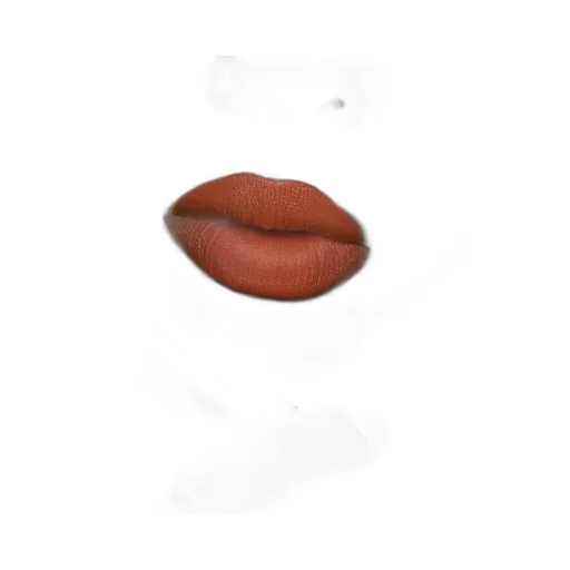 312 Frances Fire Matte Lipstick