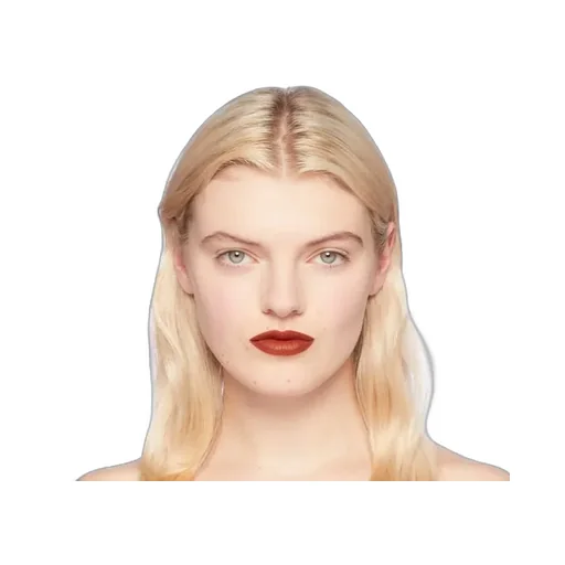 308 Lucy Dark Orange Matte Lipstick