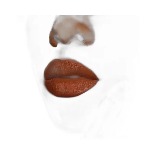 308 Lucy Dark Orange Matte Lipstick