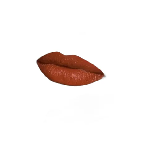 308 Lucy Dark Orange Matte Lipstick