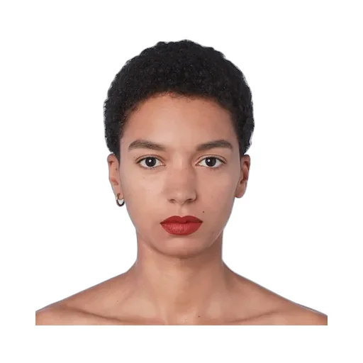 505 Janet Rust, Rouge à LÈVres Mat Lipstick
