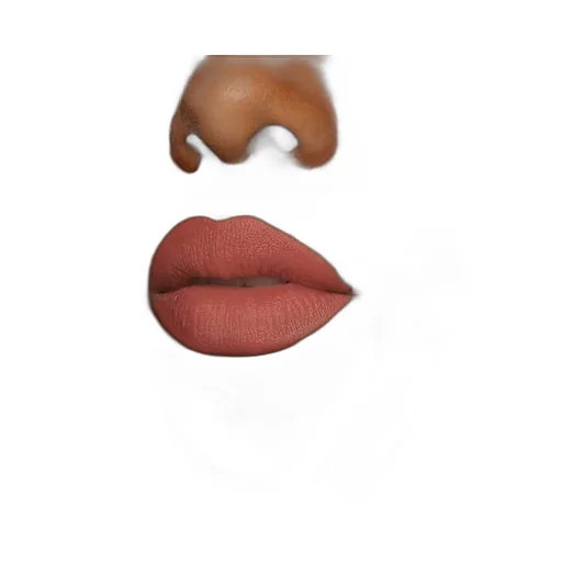 Rouge à LÈVres Mat Lipstick