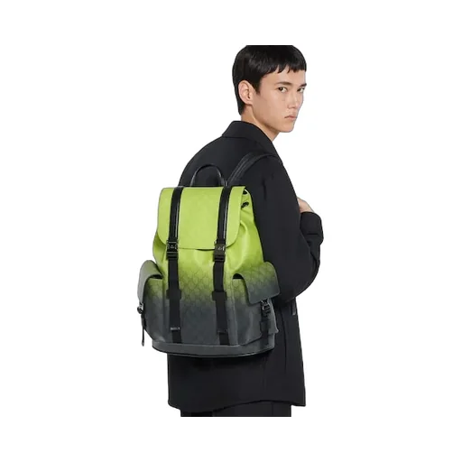 Chroma Large Backpack