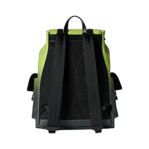 Chroma Large Backpack