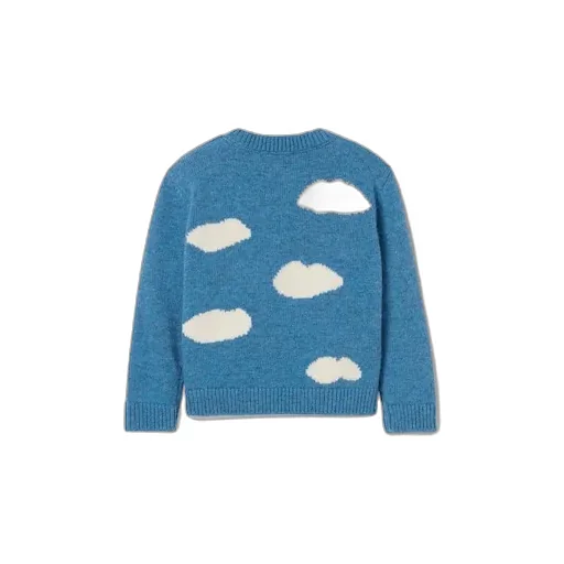 Baby Wool Jumper With Embroidery