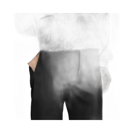Wool Gabardine Trousers With Embroidery
