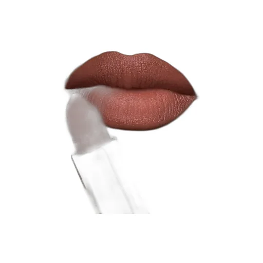 128 Limited-Edition Rouge à LÈVres Mat Lipstick Amanda Dask