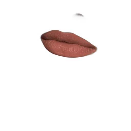 128 Limited-Edition Rouge à LÈVres Mat Lipstick Amanda Dask