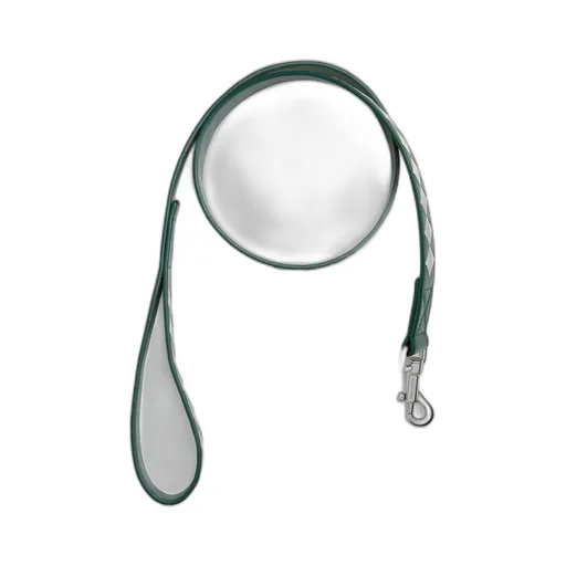 Medium Intrecciato Dog Leash