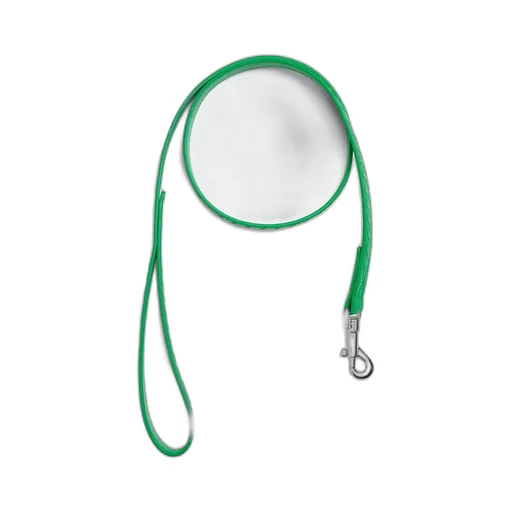 Small Intrecciato Dog Leash