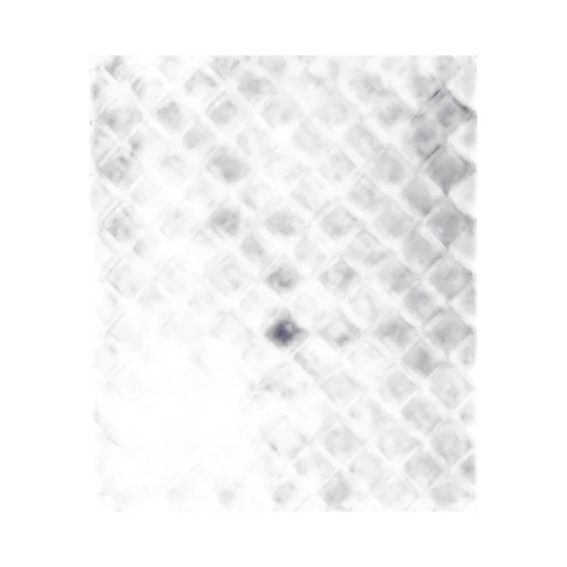 Dustbag