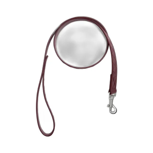 Medium Intrecciato Dog Leash