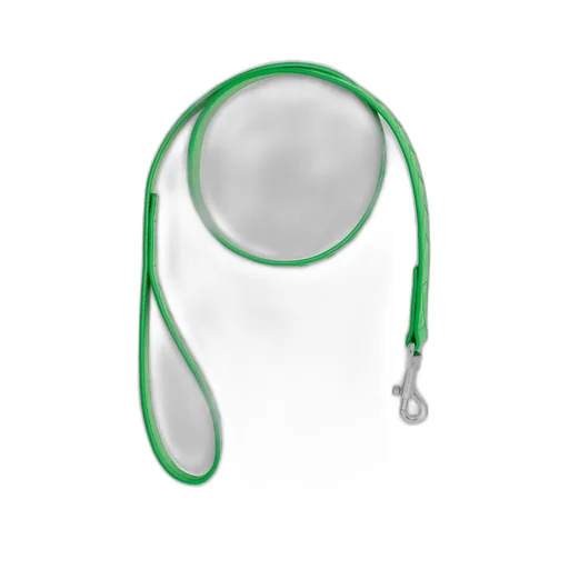 Medium Intrecciato Dog Leash