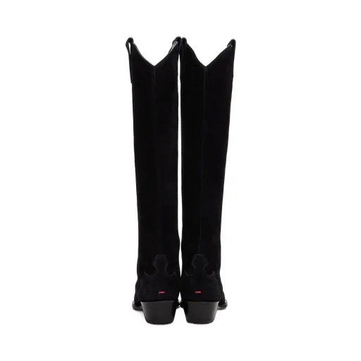 Pointed Boots