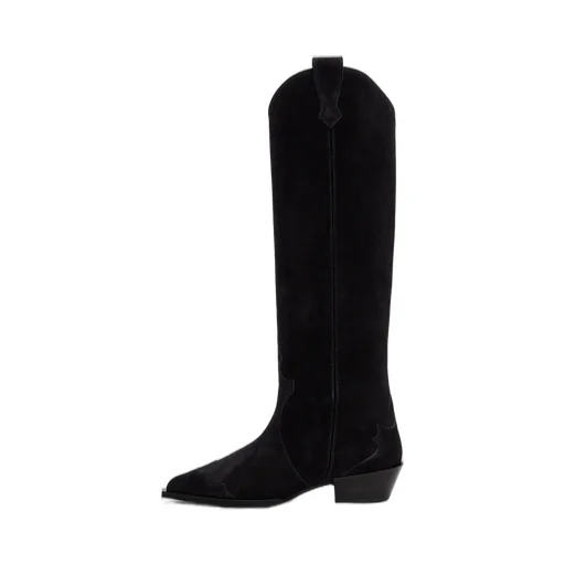 Pointed Boots