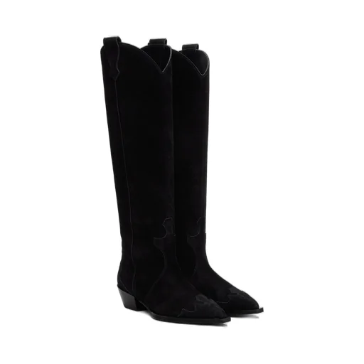 Pointed Boots