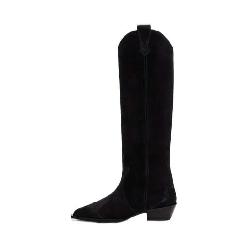 Pointed Boots