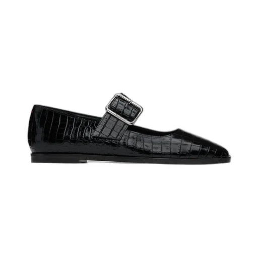 Sunny Alligator Flats