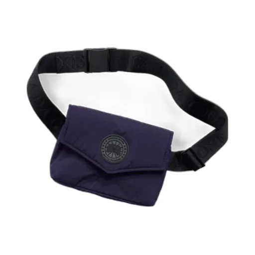 Mini Waist Pack