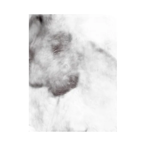 Fluffy Zip-Up Jacket