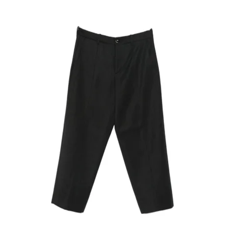 Pleated Trousers