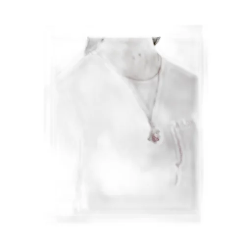Pendant Necklace