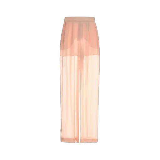 Semi-Sheer Georgette Pants