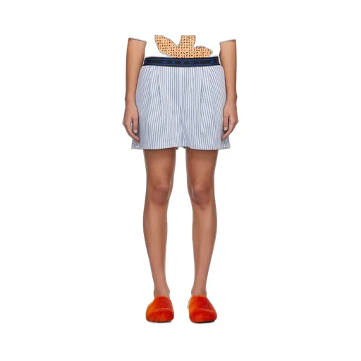 Striped Logo Waist Shorts